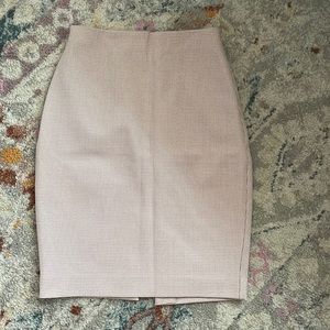 Express Pencil Skirt